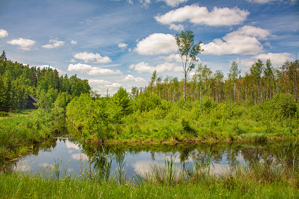 Bajorų kaimo poilsiavietė Molėtų r.