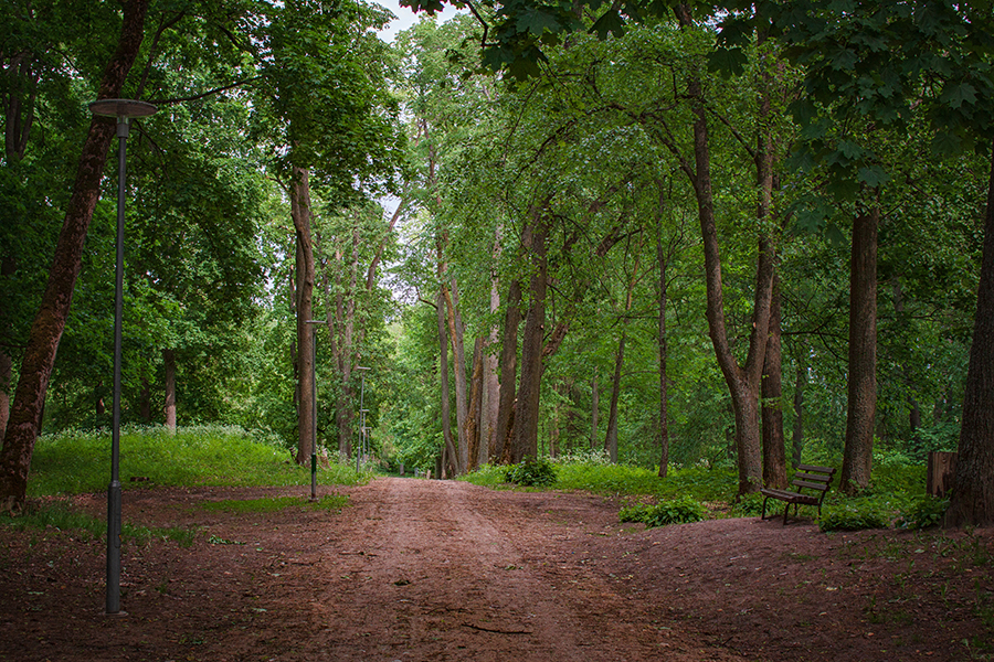 Balbieriškio dvaro parkas Prienų raj.