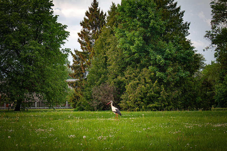 Panemunės pilis Juknaičių parkas