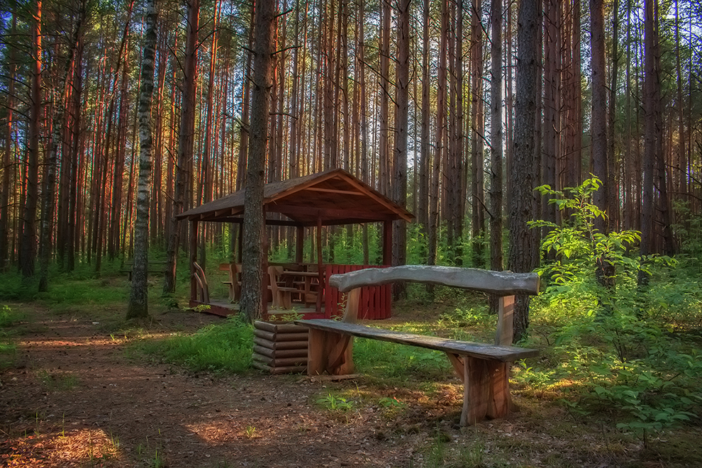 Kareivonių pažintinis takas, poilsiavietė Lazdijų rajone