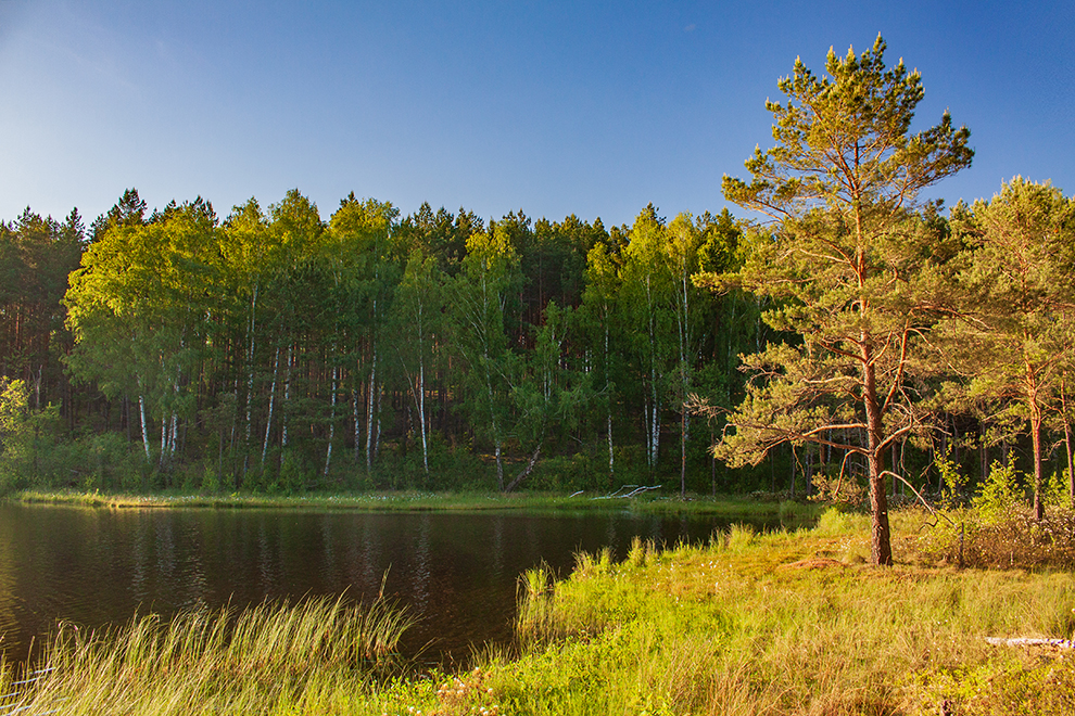 Kareivonių pažintinis takas, poilsiavietė Lazdijų rajone