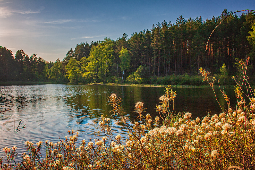 Kareivonių pažintinis takas, poilsiavietė Lazdijų rajone