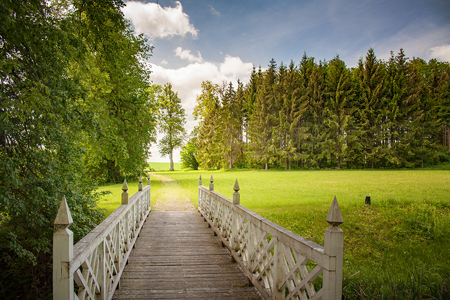 Narvydiškio dvaro parkas