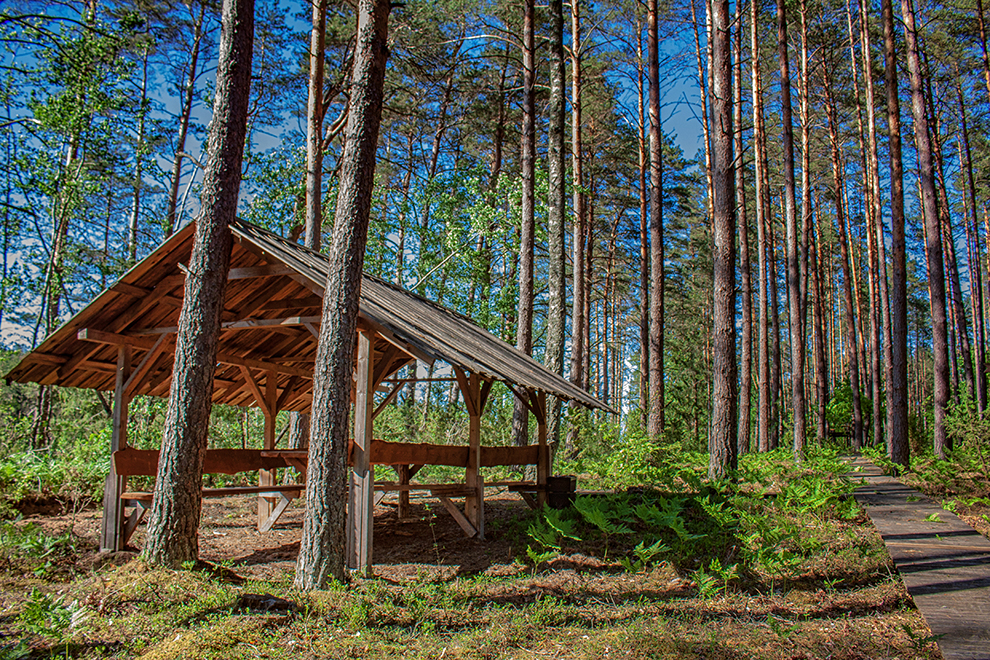 Pamerkių takas Varėnos r.