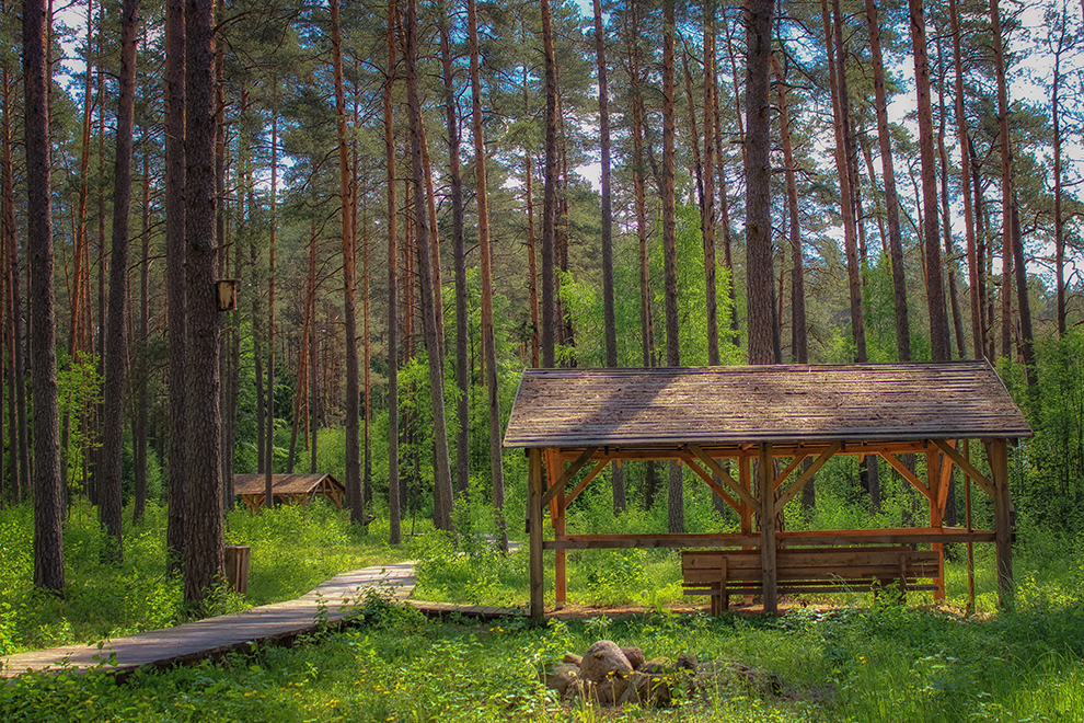 Sakiškių parkas, poilsiavietė netoli Vilniaus