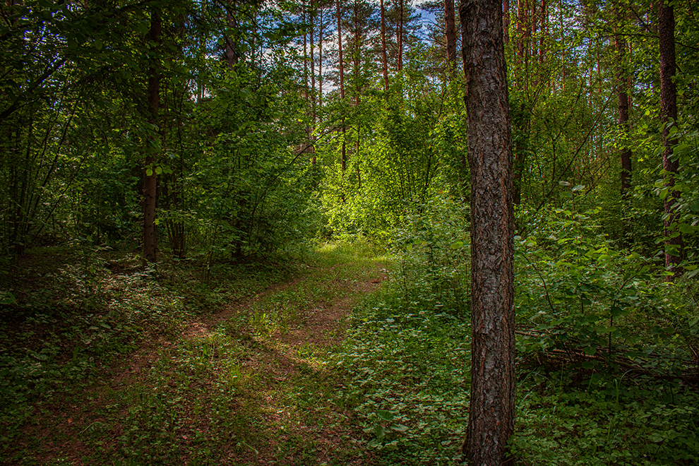 Seimėnų parkas, poilsiavietė Trakų rajone