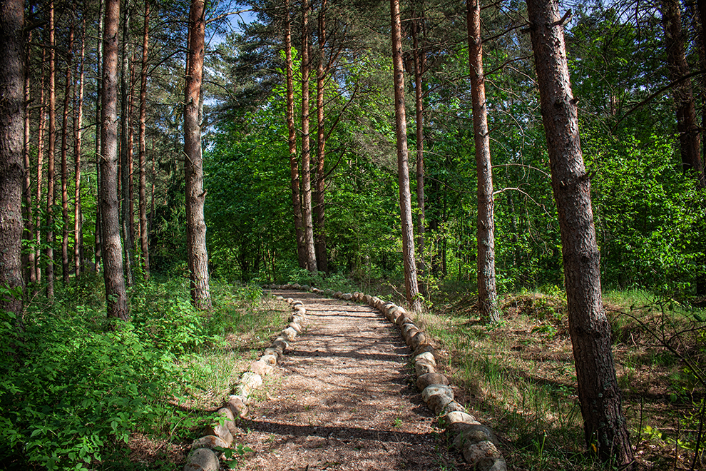 Pakapių kaimo parkas